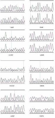 Screening for CCNF Mutations in a Chinese Amyotrophic Lateral Sclerosis Cohort